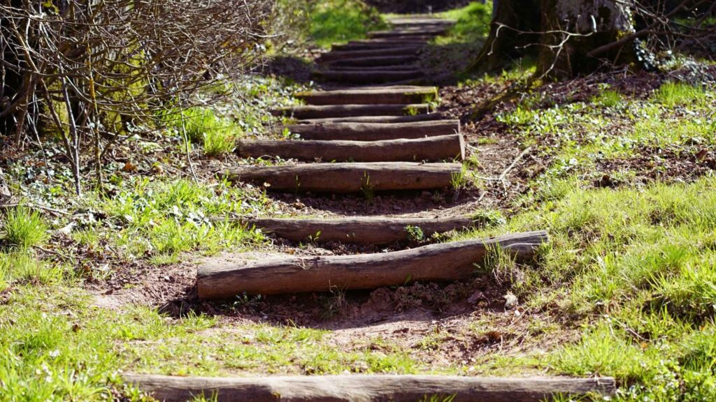 Wooded path with uneven steps representing stages of marijuana addiction and recovery.