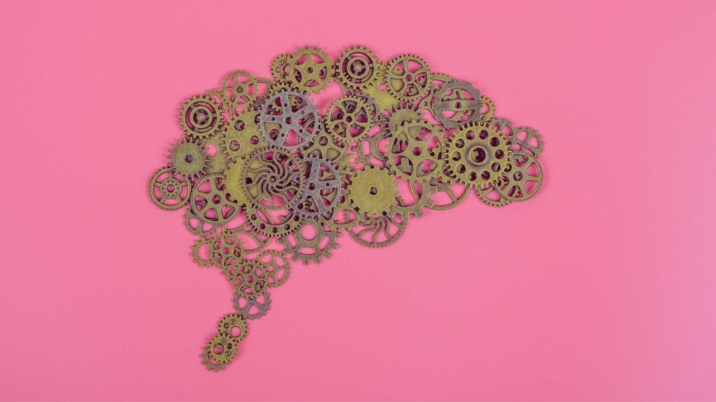 Brain made of gears representing how opioids affect brain function.