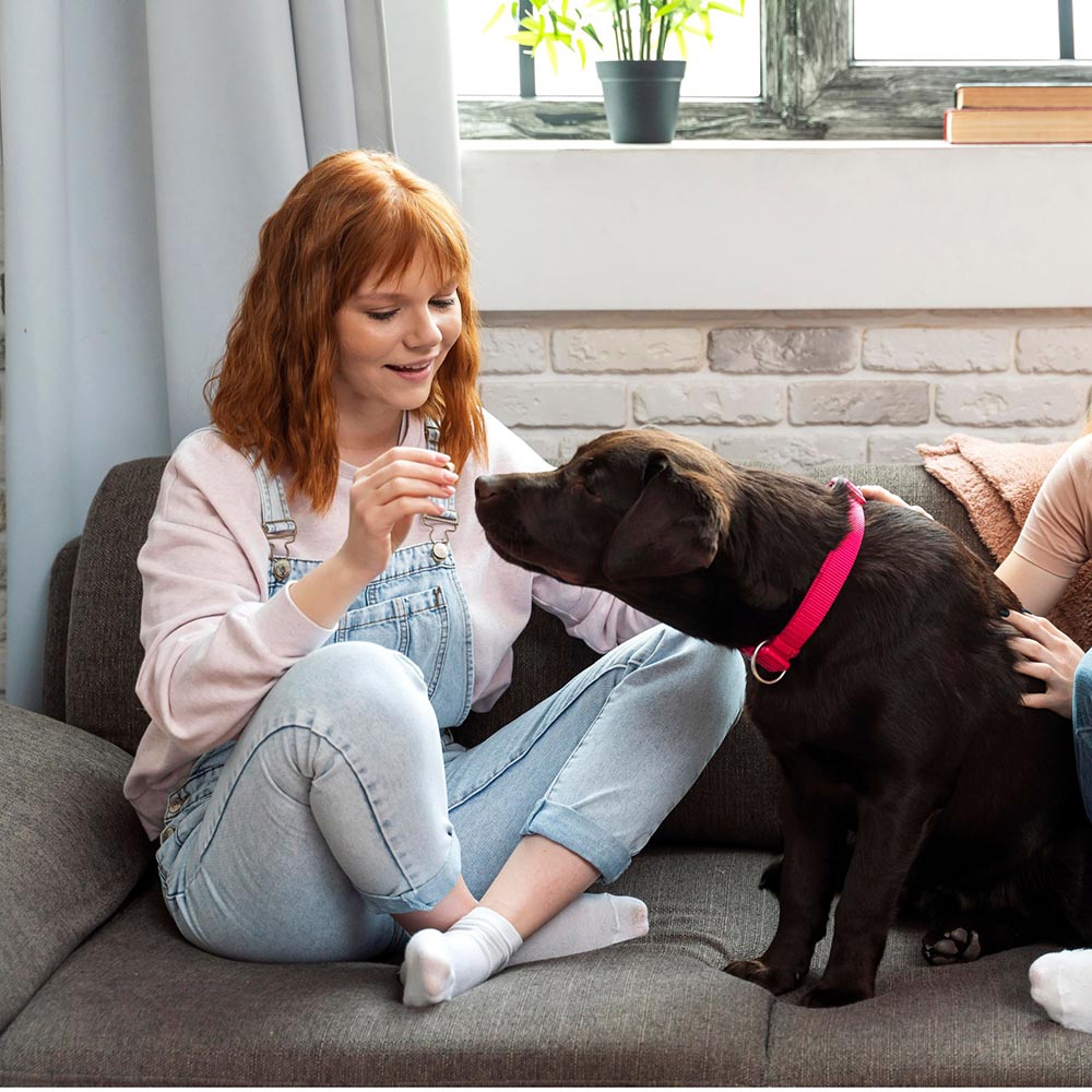 Animal-Assisted Therapy