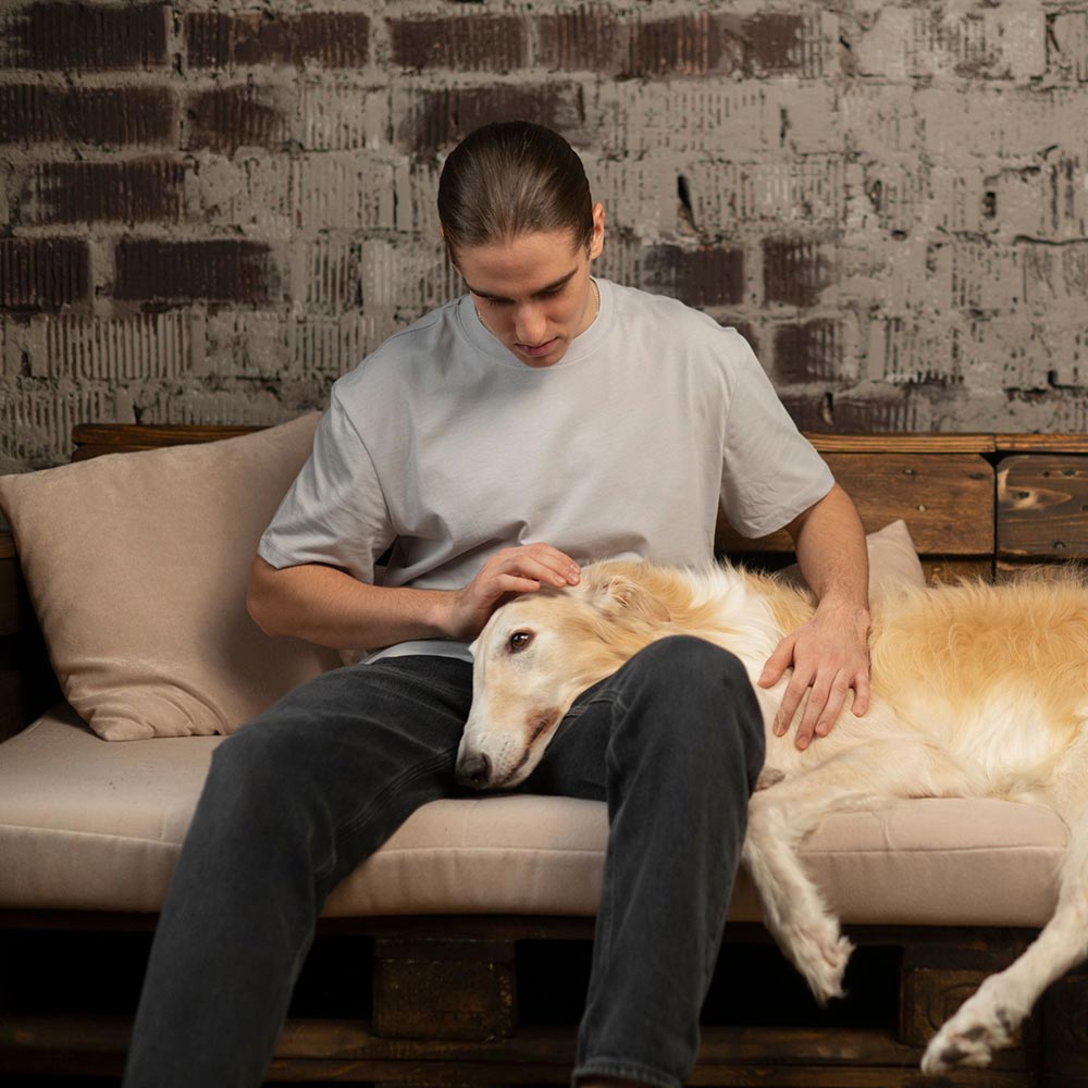 Integrated Care With Animal Therapy NJ